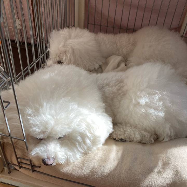 6033eef9 f24a 43da 96a4 03e58ae5325f 1606366194369