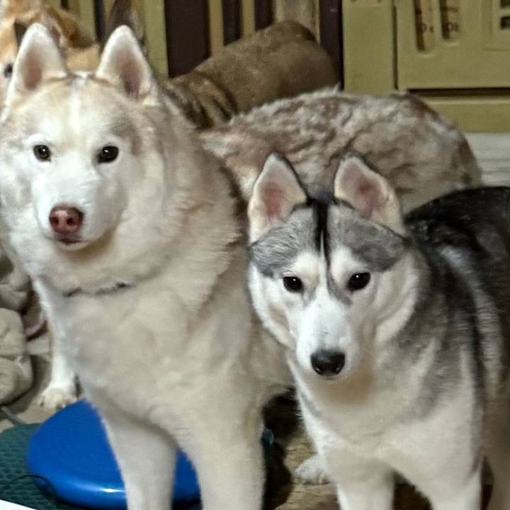 60340454 ece6 4b5d 9dd8 1cc666a058e3 1768222776358