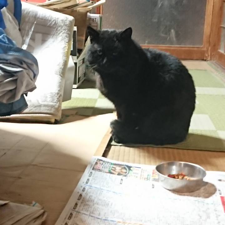 60340660 5ccf 457b 88c1 117b16b0c9d4 1614508540219