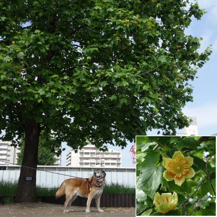 6034a80c 2b0c 49f6 957e 1b3333e71c3e 1557624428009