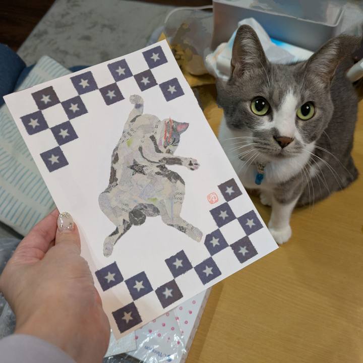 6034b2f9 390d 4817 b970 47d7e90fc4cb 1734425289665