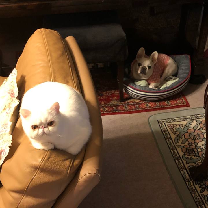 6034b7ac 15d6 41a9 917c 0e07c8d49632 1604469540174