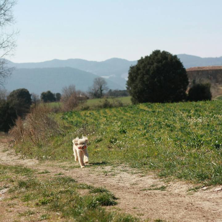 6034d08d 70ef 4a76 9056 ac3c351f7ad7 1551818803883