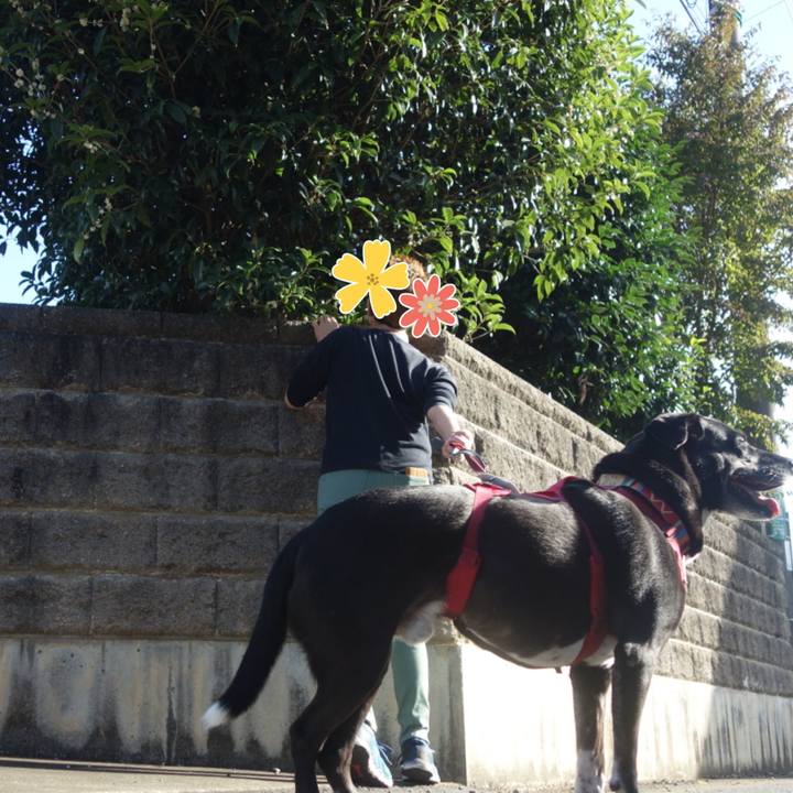 6034ef08 7dff 4503 a63e 84ecd6d89bb7 1697589765383