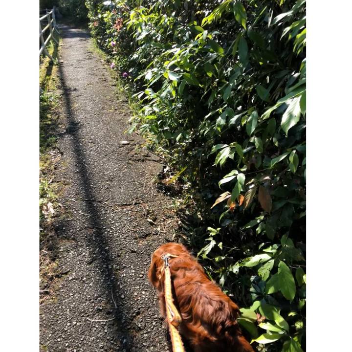 603538d2 9ce2 4cac a6d7 e077835e780a 1651578344958