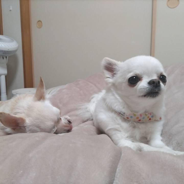 60355f1b 3a6d 445b 818a a48dfa5a5585 1771209741843