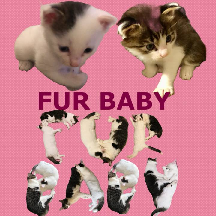 60355f23 be59 40c8 855c b9ac14ce227a 1668121666396