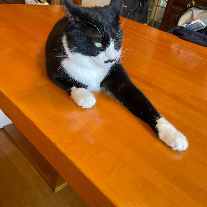 603561ec ce19 4989 bbf4 2786a0d44e12 1658277658912