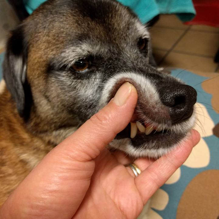 603565bb 0aa8 41a7 9152 f0c35c2a609c 1699145986982