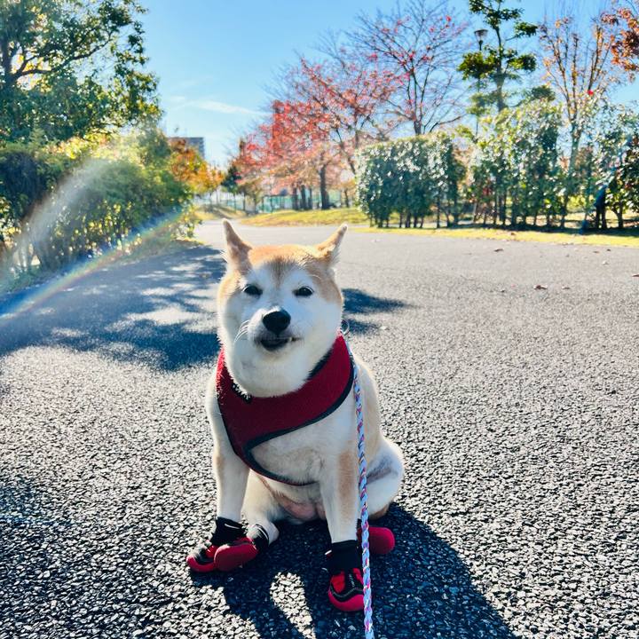 6035909a 0fba 4b32 80a7 6345b6b18f95 1732339202091