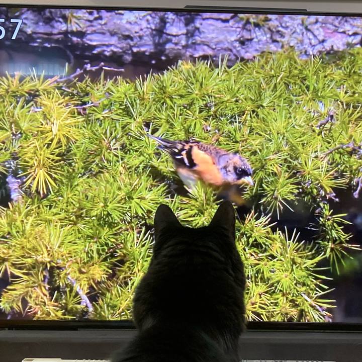 60359b59 dbdd 4b32 b196 63b9dfe71edb 1765668323531