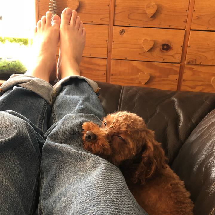 6035a69d 858c 47a1 8ac1 bc8d6c331d1a 1533451707928