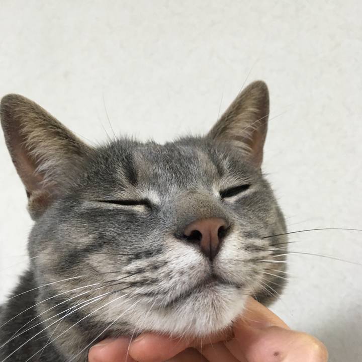 6035add8 b300 47c4 aa6f 6728a787800b 1592222467601