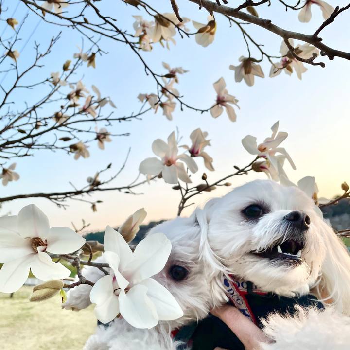 6035cfdd 1c28 4e56 b436 c29946876638 1615951897648