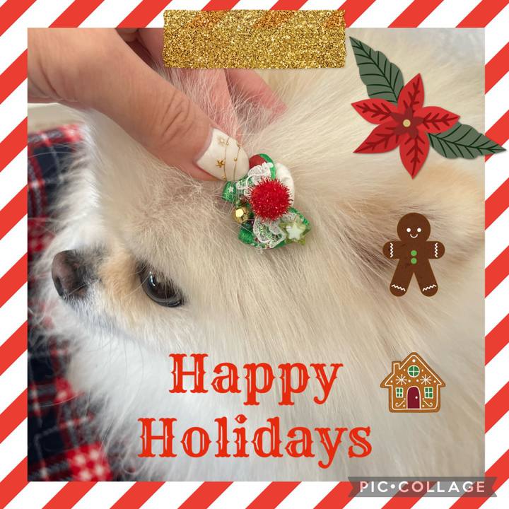 6035d34c f7f7 4239 a30f 1ae1a66d7127 1671017492429