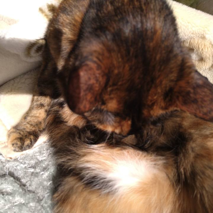 6035dcc6 ce24 4621 b77e 3f74f75dbcbd 1613008927486