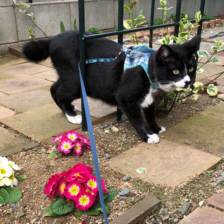 603646b2 915b 4b99 b8c6 1e9f888a656f 1521517883481