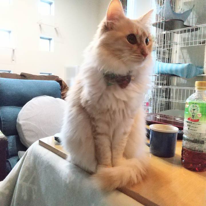 603649b4 1cbd 4af6 8610 dffa23444e73 1646603526395