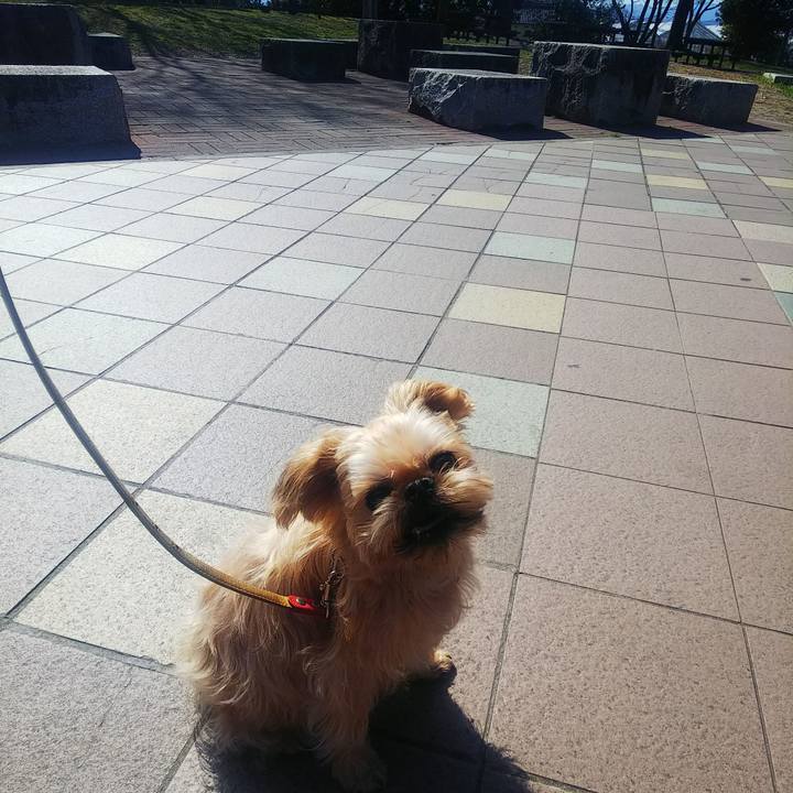 60366c47 6365 4581 b6da c1f8f9080d44 1598669346622