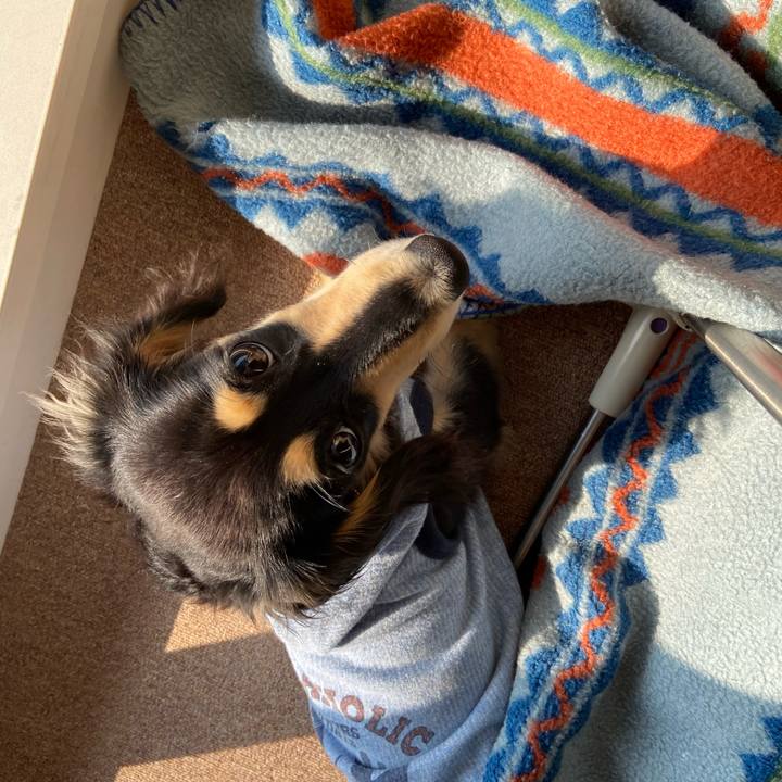 6036af5f fb0b 4ea8 9c46 840c31e5154d 1675816023719