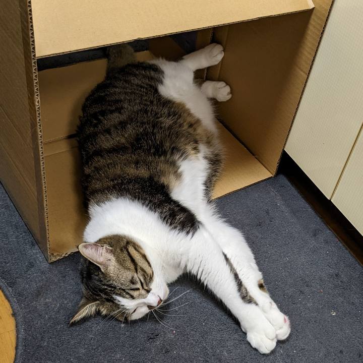 6036af75 4728 483e b405 a23dab423f49 1668518608778