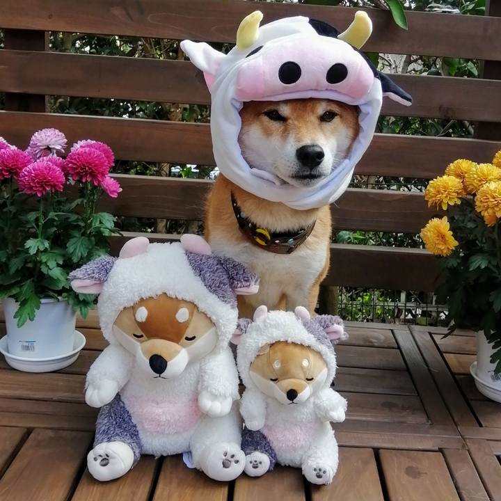 6036d164 0569 4e40 a9d7 54e570553403 1606701484801