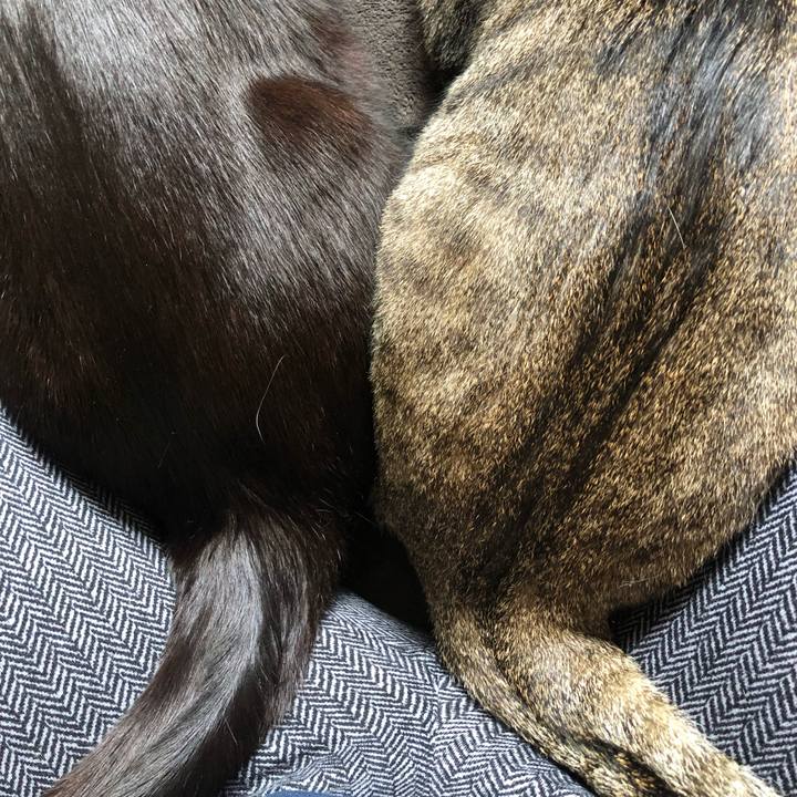 6036f4b0 9961 4ec5 8dda f6dcd57844d1 1649447573992