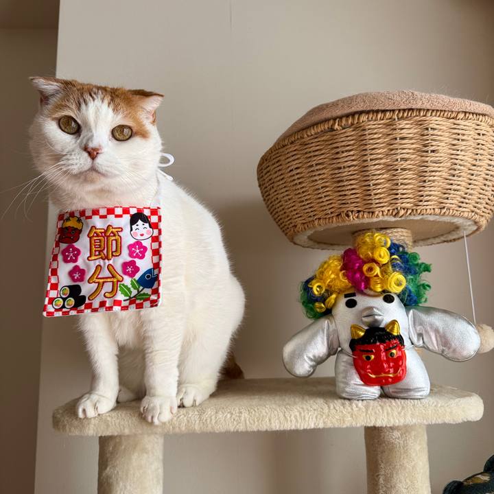 6036f79d eb3b 4951 8ede 5dbb30a78fba 1770128951429