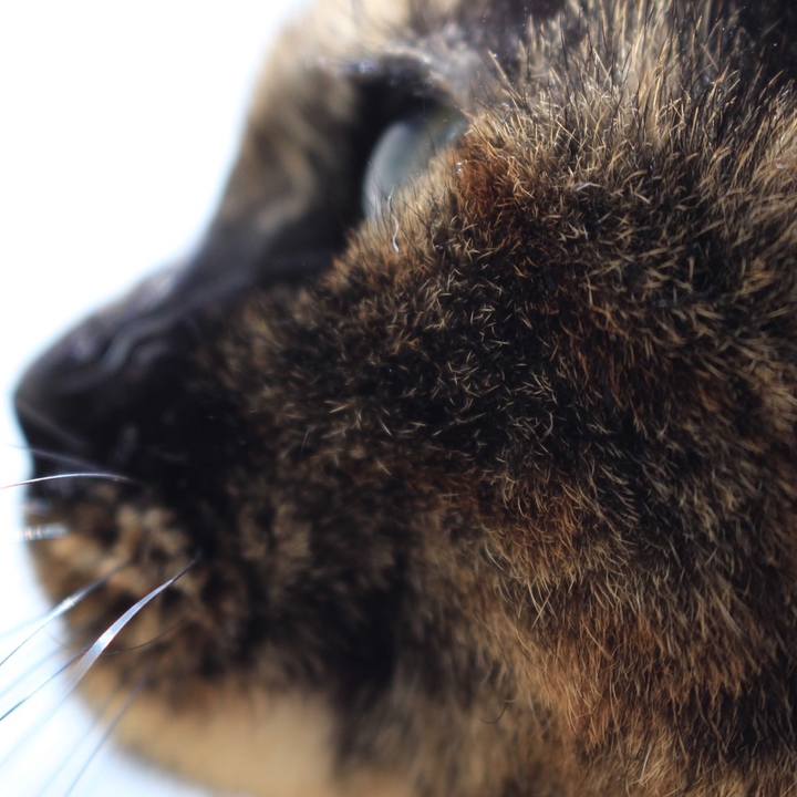 6036f9db 114b 4159 aa23 6e29a5970da5 1685338313092