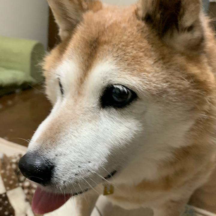 60373f45 2b6b 4a62 895f d9c0ad75f94a 1582020830618