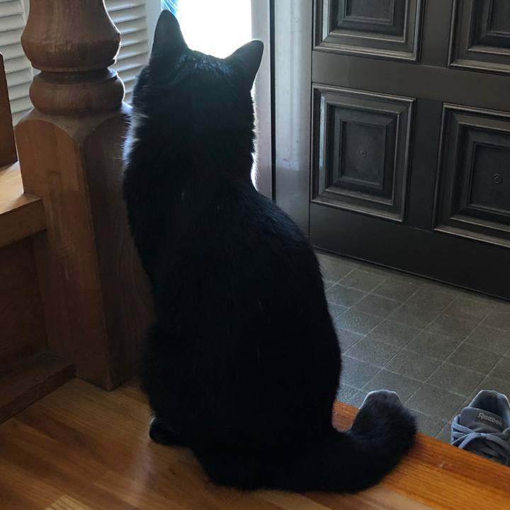 60374bc0 a912 4ffa 9124 fc785faf0f8f 1657078615385