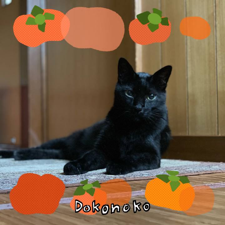 603768a3 a48a 480a 8634 c5ffd2f2f689 1761873568431