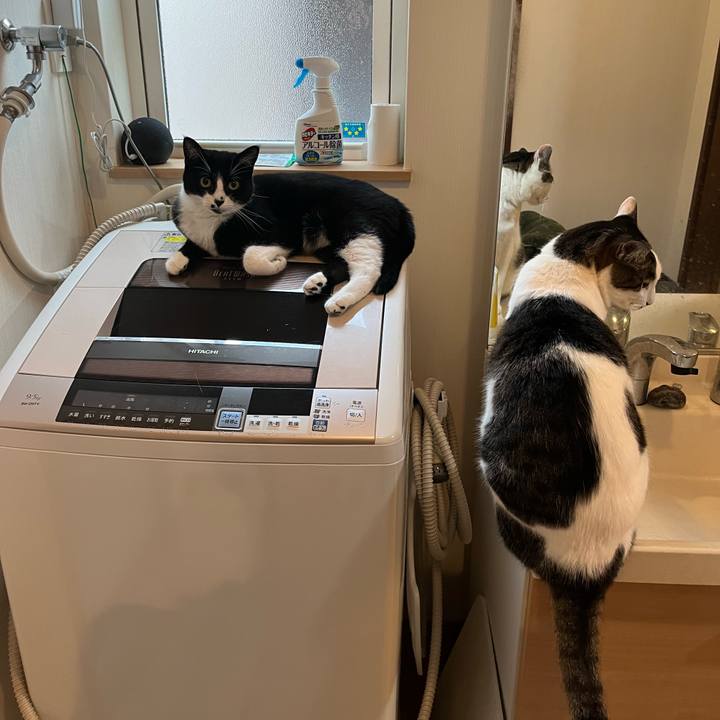 6037c7d2 5d74 4376 90e5 a64d3be670fd 1690414677655