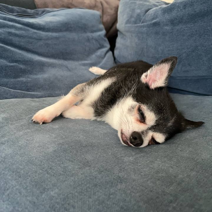 6037f83b bc14 4699 8758 0e1580e5a68b 1754734459268