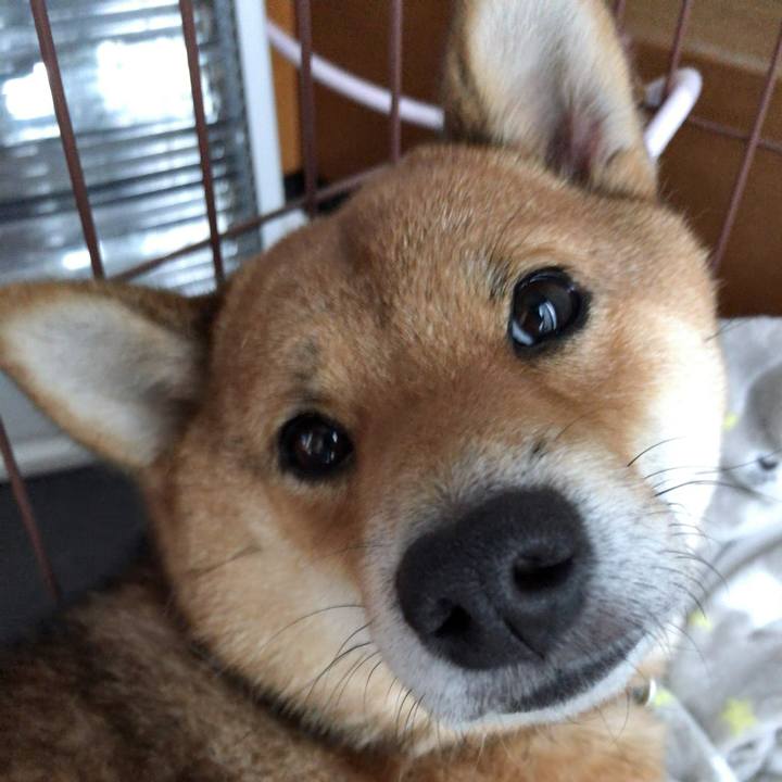 6037f9d1 47d5 4b3a ad3b 5fbba88c9546 1524050004037