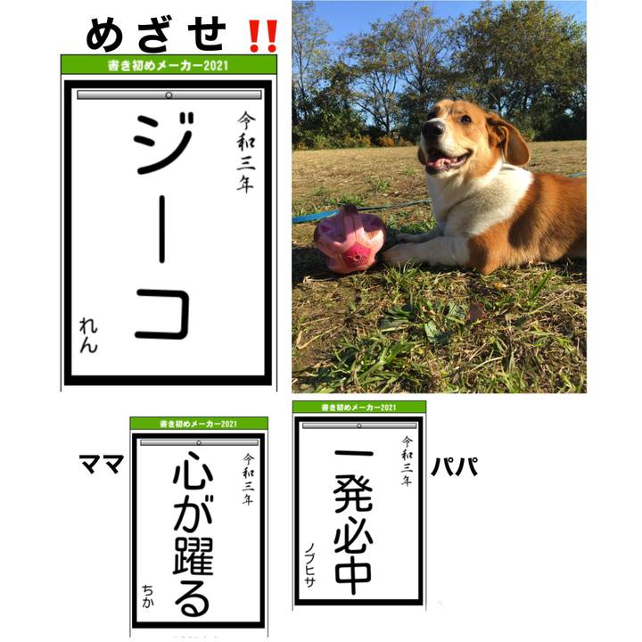 603817e7 abf9 4a7f bb31 b0f319ef15b8 1609552985417