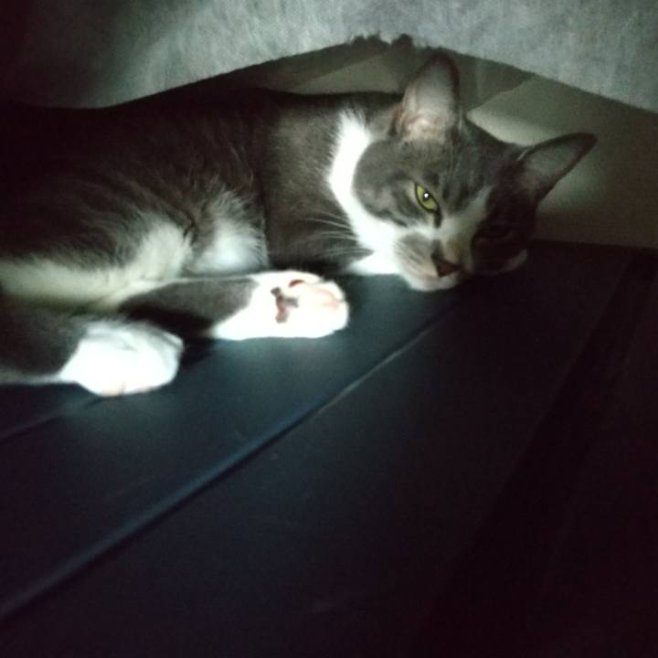 603827e3 834f 4668 99bb 0aae55477b1d 1621912678900