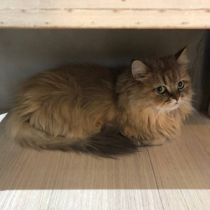 60383a26 4592 4df3 bc25 197647fd842e 1598003671512