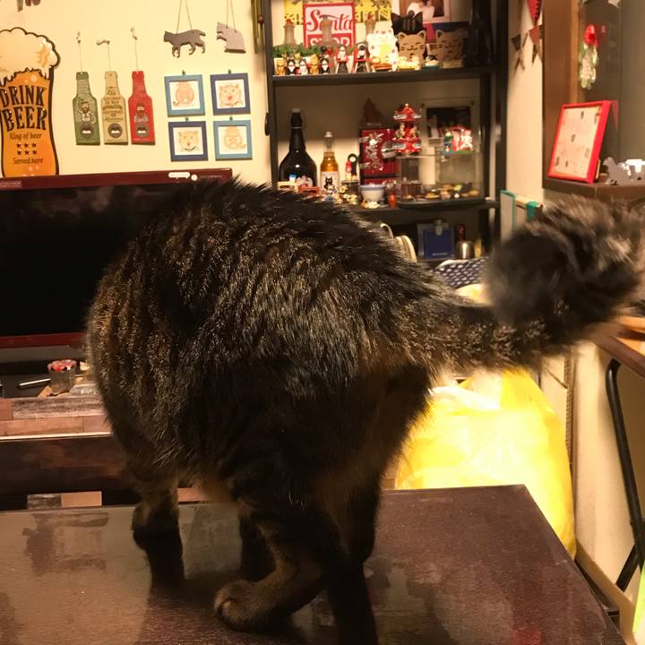 60383dc1 d938 4bab 84a9 b9dff24e4d68 1648557149285