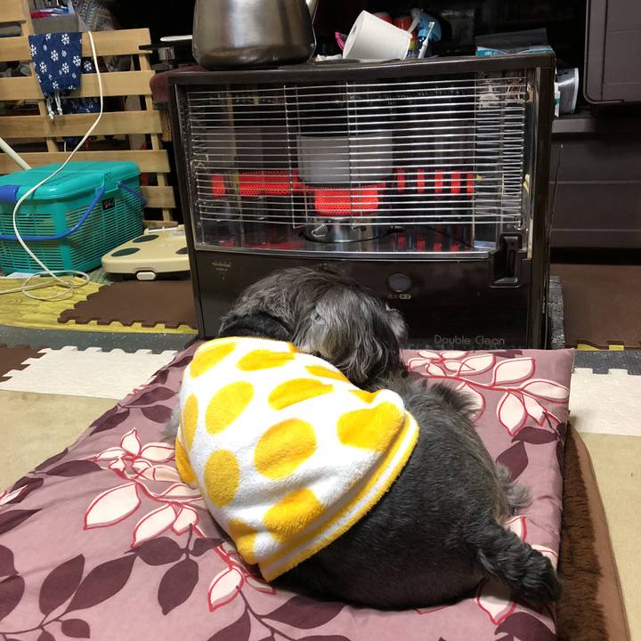 603842c9 7152 40b7 a609 030507c65206 1521369902002