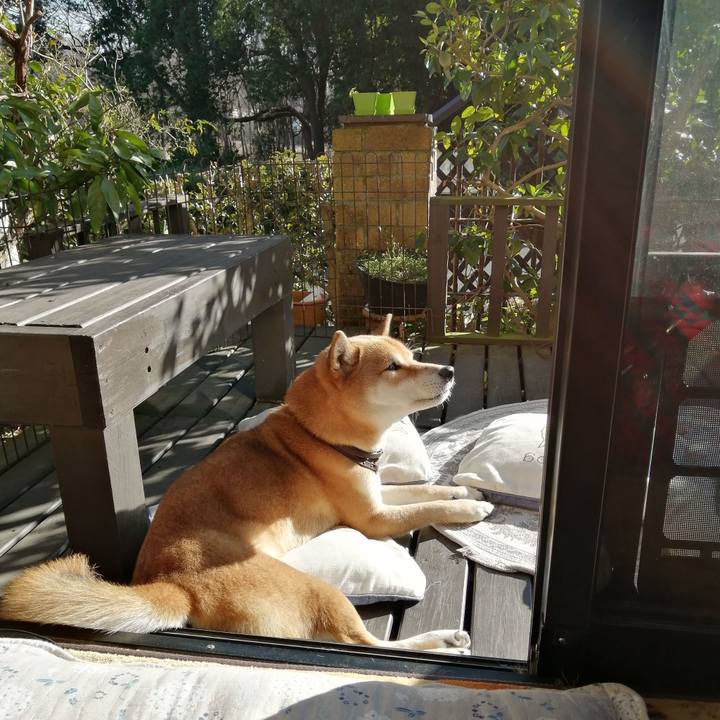 60385b8d 4ec3 4d55 a733 496efa8bdc32 1580368798349