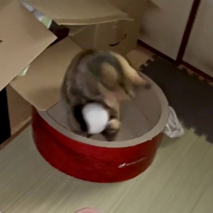 60385d17 9ac1 444b b9f4 40af492cf31d 1774298288951