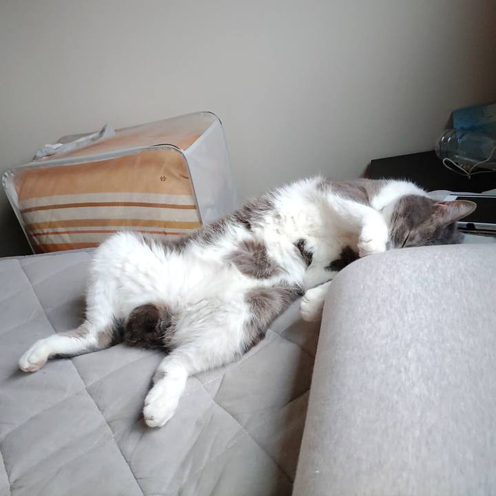 60385f9f 3ec7 4535 a0e9 5c96f4131c49 1687089167395