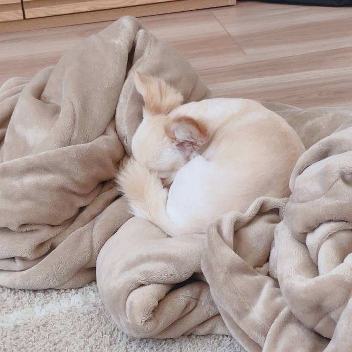 603883c5 4e55 45b9 ac06 963188d7900b 1756164564203