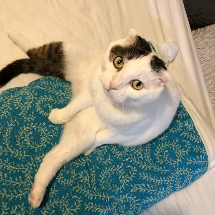 6038c293 2a8a 44a1 82b0 76a962ddfd7b 1560691375724