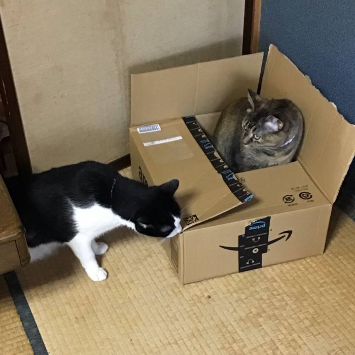 6038f7a9 be09 41a5 9a7d 248104ac0d78 1724410647913