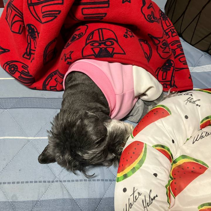 603904cf 0f45 4cc6 9110 45bec96a2e0c 1729432222134