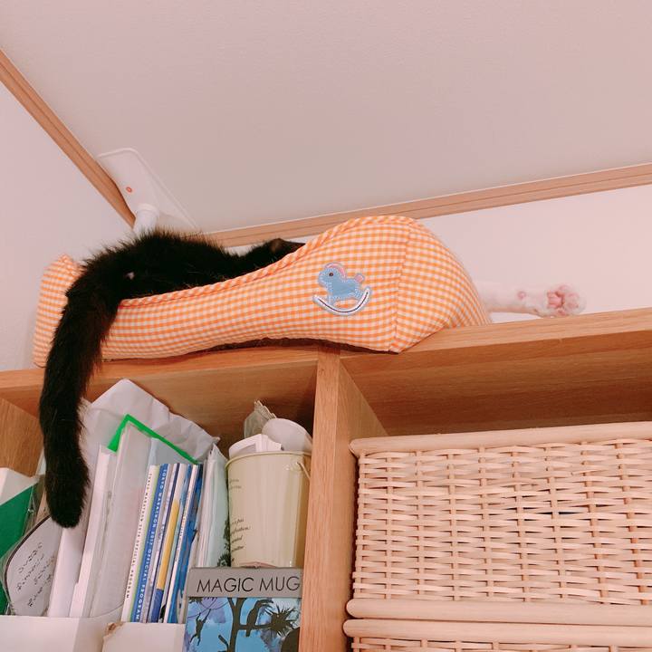 60390894 65ff 4777 b482 fa2723ac3f38 1559662847731