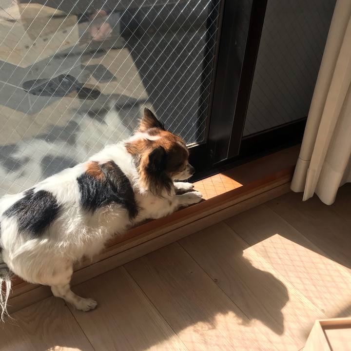 60393ce6 b3b8 46a8 9167 656ae487dcb0 1675912424724