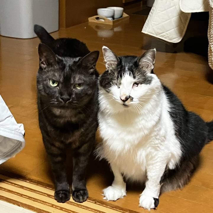 60393ec9 4def 4f4f b907 ba3d8977e6b3 1722347938627